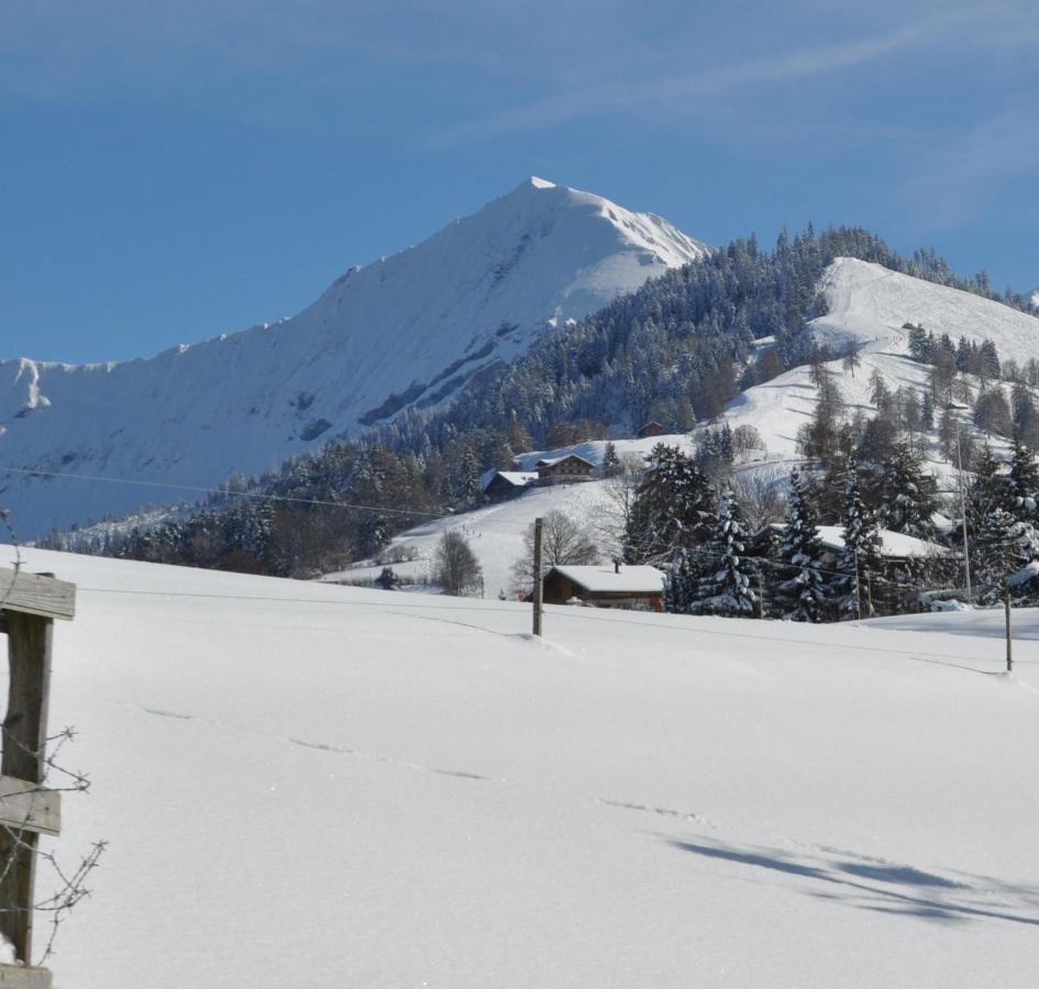 Ruhe Pur Apartment Aeschi Bei Spiez ภายนอก รูปภาพ
