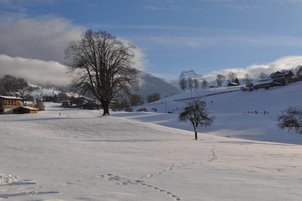 Ruhe Pur Apartment Aeschi Bei Spiez ภายนอก รูปภาพ